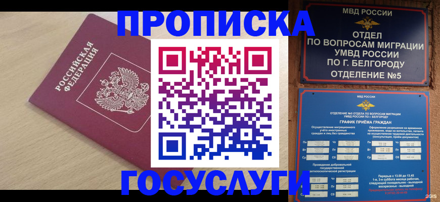 прописка законно в Фролово